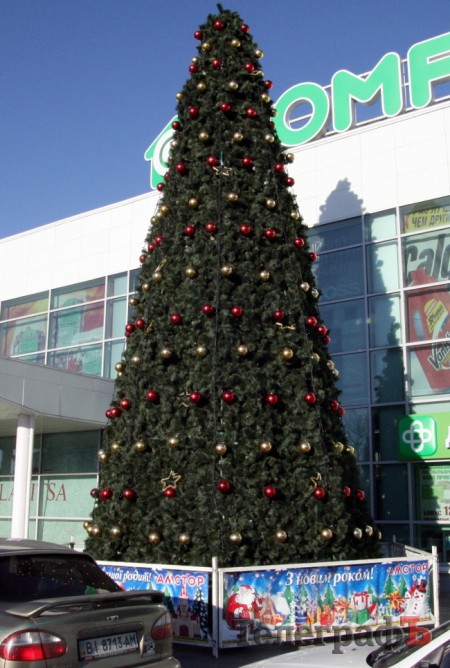 Новогодняя елка возле "Амстора"