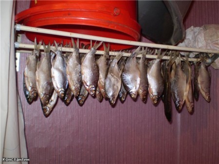 Кременчужанка подхватила ботулизм из-за употребления вяленой рыбы домашнего приготовления