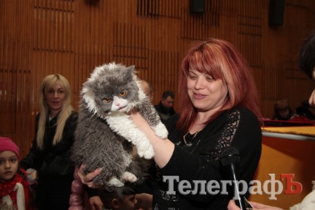 Какие котятки у нас в Кременчуге!!!(ФОТО)