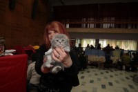 Какие котятки у нас в Кременчуге!!!(ФОТО)