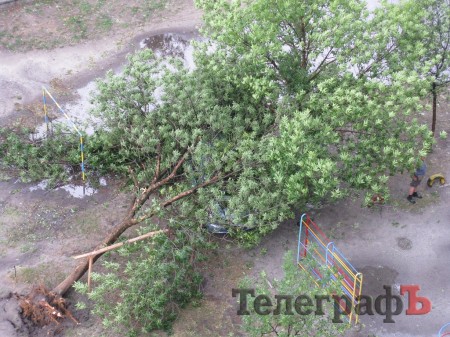 Ураган в Комсомольске: на предприятии «Ферролит» снесло кран, а деревья стихия валила, как спички (ФОТО)
