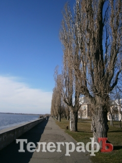 Тополя вдоль набережной Днепра в Приднепровском парке проредят