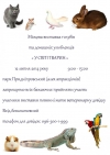 12 июля в Кременчуге состоится выставка голубей и домашних животных