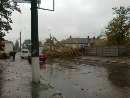 Непогода в Кременчуге: падают деревья, рвутся провода