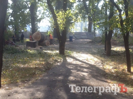 В Городском саду коммунальники второй день борются с аварийным тополем