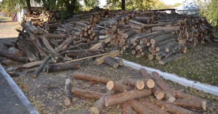 В Кременчуге и районе спрос на дрова вырос в 3 раза