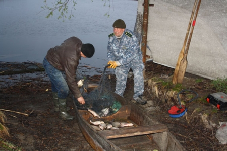 У підприємця з Градизька вилучили 770 кг риби