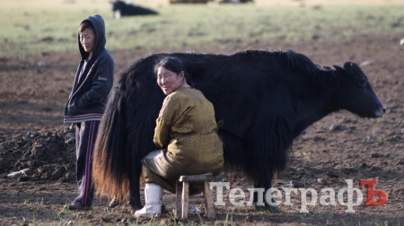 Кременчужане в Монголии
