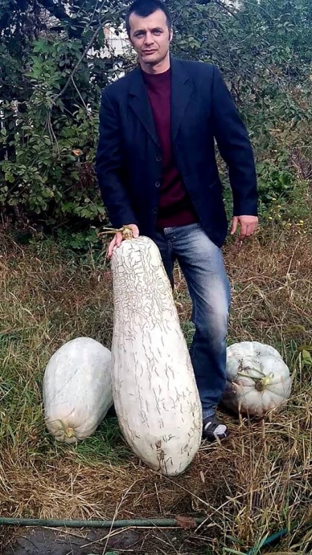 ФОТОФАКТ: Кременчугский голубевод и его метровые кабачки