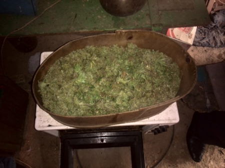 2 кг “марихуани” вилучили правоохоронці Полтавщини