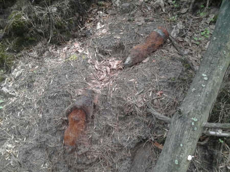Под Кременчугом грибники нашли 2 снаряда