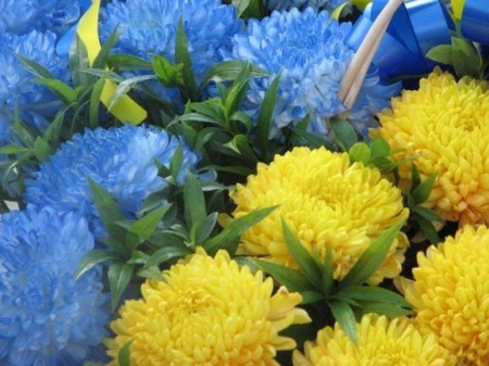 Завтра у центрі Кременчука викладуть «жовто-блакитний» стяг з квітів