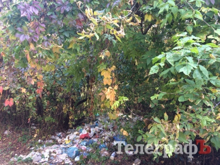 В Кременчуге в романтическом месте планируют сделать свалку для опалых листьев