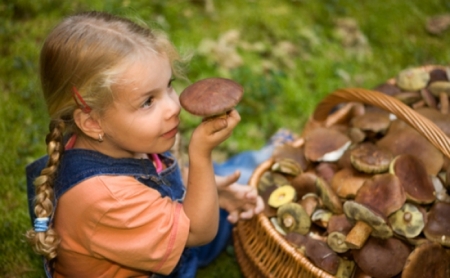 В Кременчуге 8-летняя девочка отравилась грибами