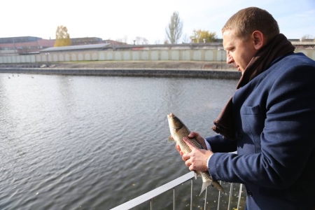 200 кілограмів риби випустили в озеро у Міському саду
