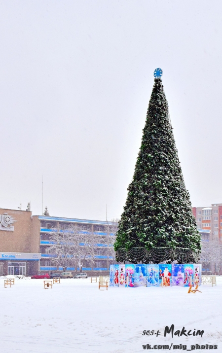 Фотофакт: главная ёлка Кременчуга укрылась снегом 