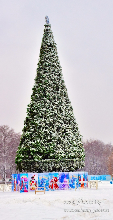 Фотофакт: главная ёлка Кременчуга укрылась снегом 