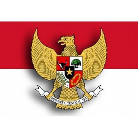 2017 рік у Кременчуці - рік Республіки Індонезія
