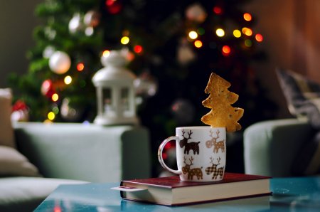 Книги, що створять настрій: з якою книжкою кременчужанам провести новорічні вихідні