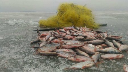 Правоохранители Кременчуга задержали браконьера, который наловил рыбы на 14 тысяч гривен