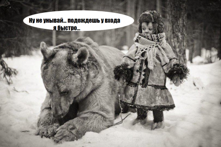 Ни с жучком, ни с паучком, ни с медведицей: в Кременчуге запретили вход в мэрию с животными