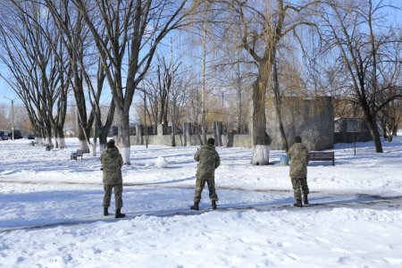 Торжественные речи и стрельба: в Кременчуге почтили память погибших воинов-афганцев