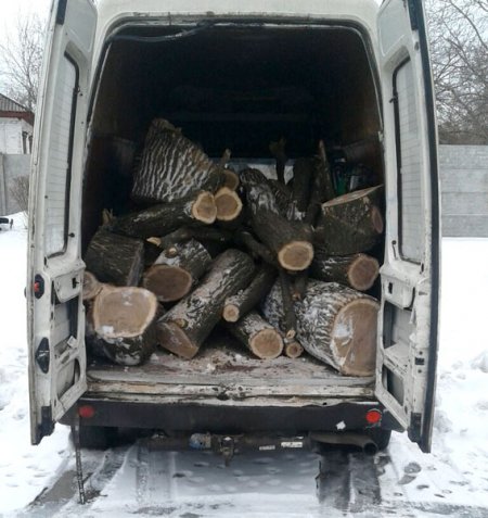 У Кременчуцькому районі чоловік напиляв дубів на 13 000 гривень
