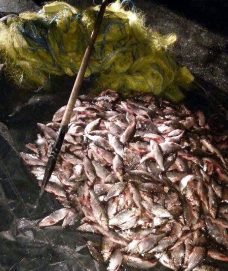 На Кременчуцькому водосховищі затримали бракон'єрів, які нарибалили на 150 000 гривень