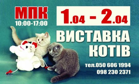 1 и 2 апреля в Кременчуге состоится выставка элитных пород кошек
