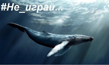 5-х дітей на Полтавщині врятували від «Синього кита»