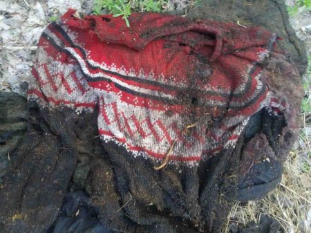 В лесу под Кременчугом нашли останки человека