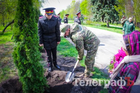43 туї пам'яті загиблих в АТО висадили у Кременчуці