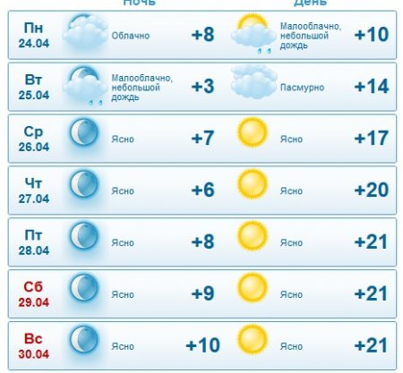 Гайда на пікнік: погода у Кременчуці буде теплою, сонячною, але вітряною