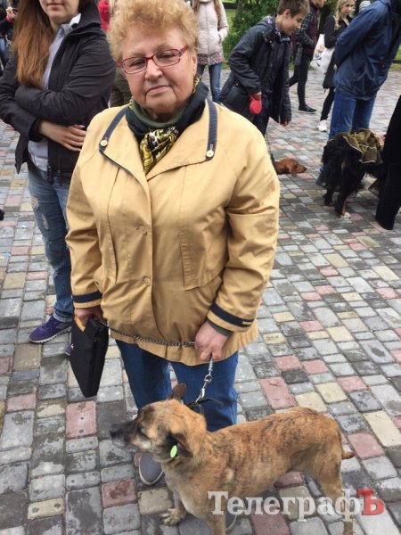 Прямо на параде собаку из приюта Креветку забрала новая хозяйка