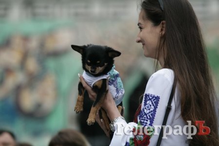 Парад животных в Кременчуге: голосование за участников