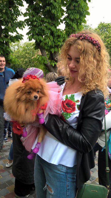 Читатели «Телеграфа» выбрали лучшего участника Парада животных в Кременчуге
