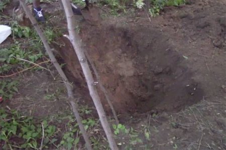 Убийство двух полтавчан, тела которых откопали в лесополосе: задержан соучастник преступления