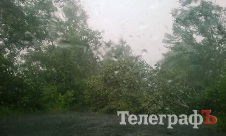 Дорогу на Горишние Плавни перекрыло упавшее дерево