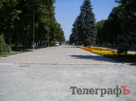 В Приднепровском парке уничтожили аллею тополей на набережной