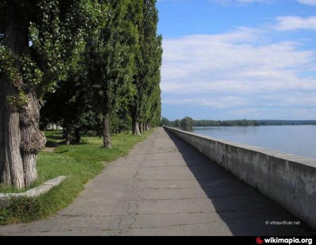 В Приднепровском парке уничтожили аллею тополей на набережной