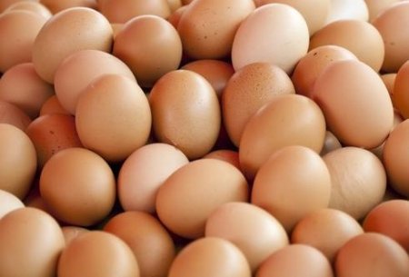 Разбор отравления сальмонеллой: яйца купили в «АТБ», а готовили карбонару в селе