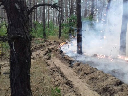 Под Кременчугом сгорел почти гектар лесной подстилки