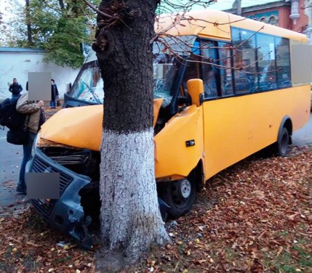 В Полтаве маршрутка врезалась в дерево: водитель в тяжелом состоянии
