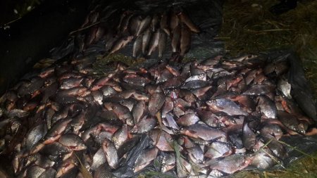 Рибалки-порушники завдали збитку майже на 54 тисячі гривень