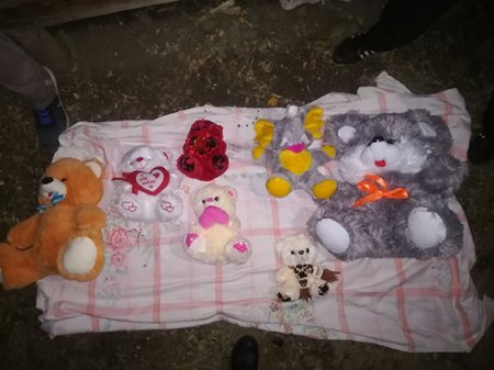 На Полтавщине братья украли игрушки с могилы годовалого ребенка