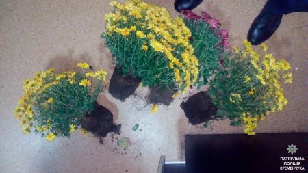 В центре Кременчуга поймали воров, которые выкопали цветы с клумбы