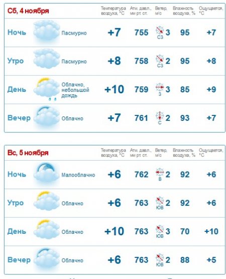 Туман и мелкий дождик прогнозируют Кременчугу синоптики на выходные