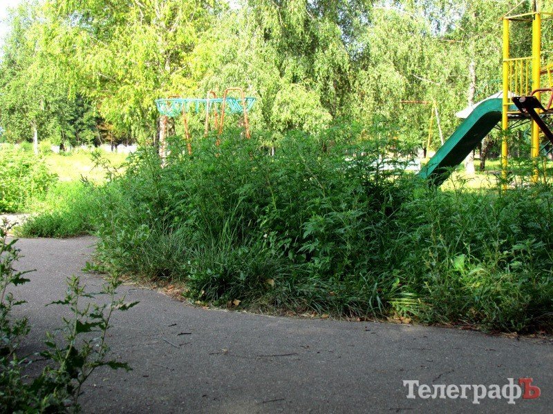 Воины-афганцы запустили свой парк в Кременчуге (фото) Воины-афганцы запустили свой парк в Кременчуге (фото)