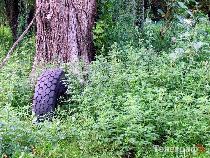 Воины-афганцы запустили свой парк в Кременчуге (фото) Воины-афганцы запустили свой парк в Кременчуге (фото)