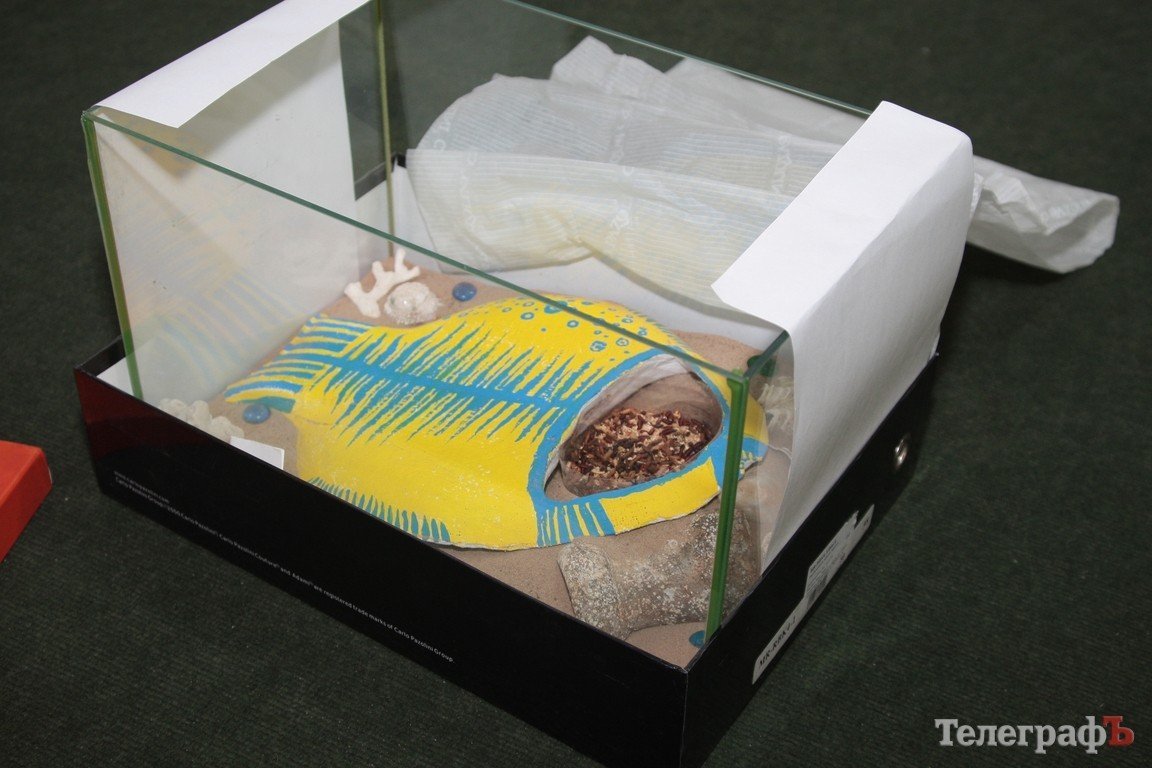 Живопись, графика, батик на любой вкус, цвет и … запах (ФОТО) Живопись, графика, батик на любой вкус, цвет и … запах (ФОТО)